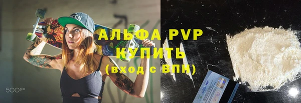 индика Абаза
