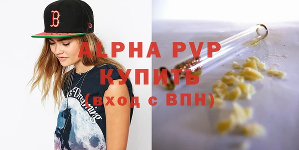 индика Абаза