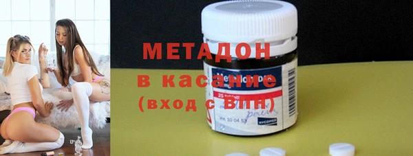 индика Абаза