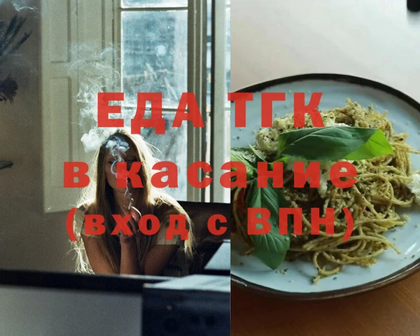 индика Абаза