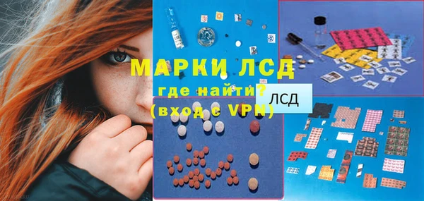 индика Абаза