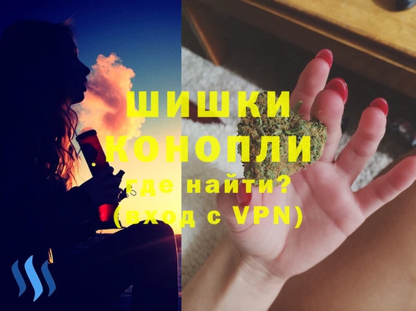 индика Абаза