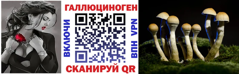 KRAKEN ONION  Стерлитамак  Галлюциногенные грибы мицелий 